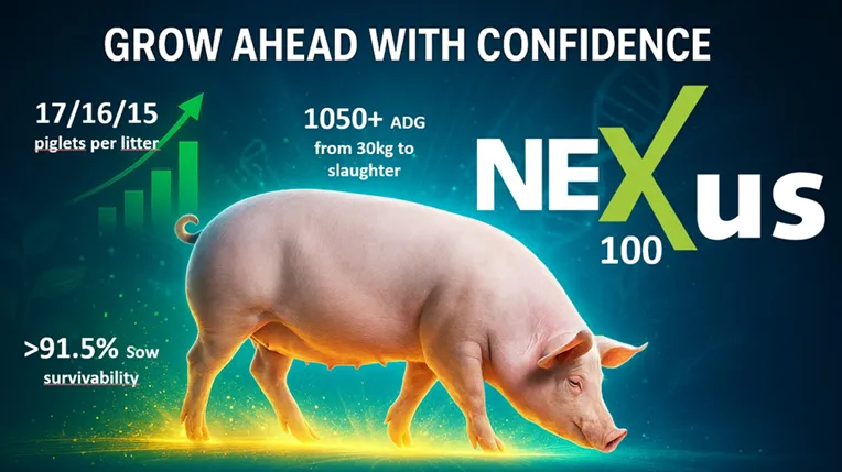 ic-nexus